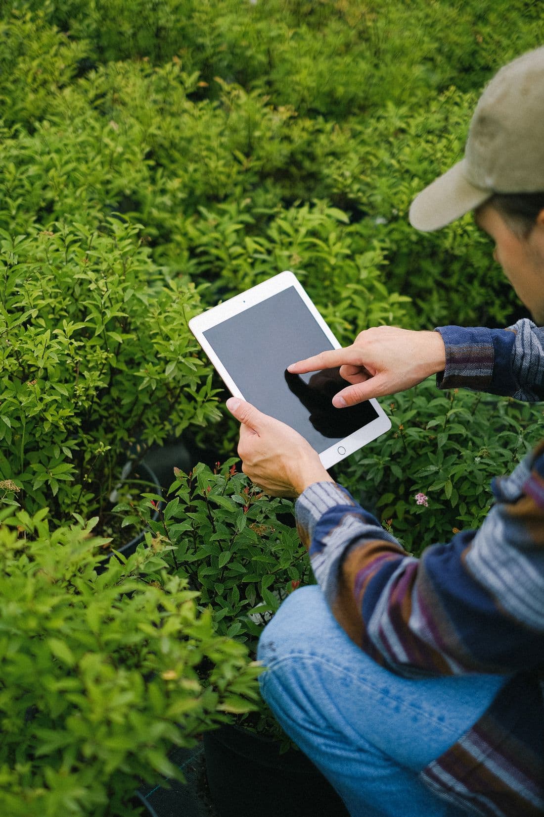 Agricultor analisando a lavoura com um tablet
